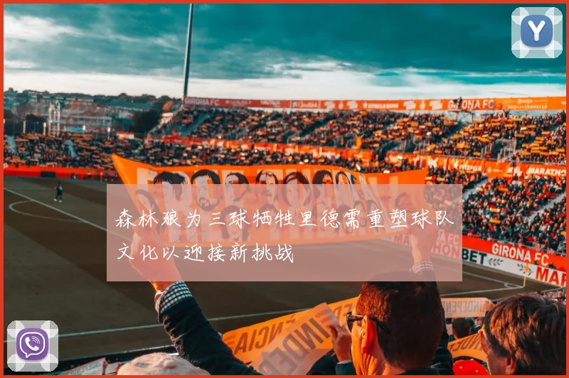 森林狼为三球牺牲里德需重塑球队文化以迎接新挑战